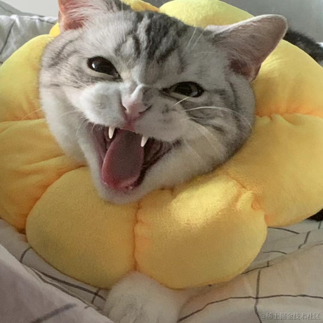 不下90斤不改wx名的WR同学于2022-04-18 10:23发布的图片