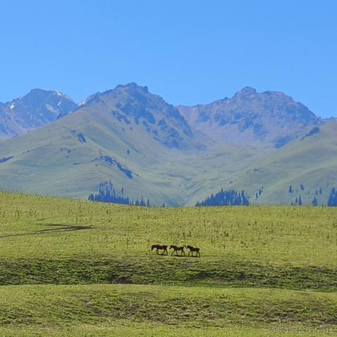 用户9132133315776于2022-12-02 19:58发布的图片