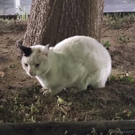 用户7127111593181于2023-04-15 11:24发布的图片