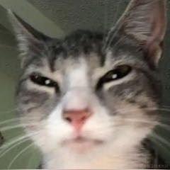 新世纪玉玉战士于2022-12-15 07:02发布的图片