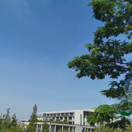 Rs_冰森于2023-05-22 09:24发布的图片