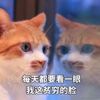 半修缘于2024-04-30 16:56发布的图片