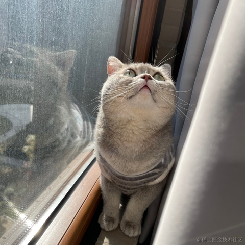 Erie于2021-11-28 08:56发布的图片