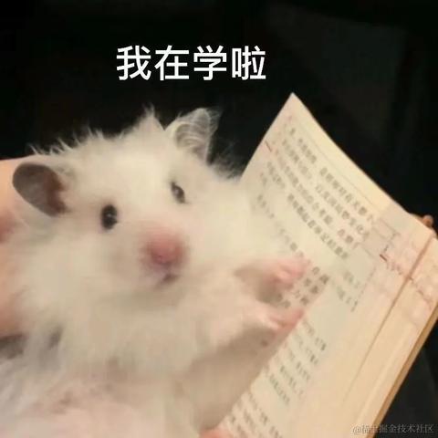 做只小狗耶于2023-06-28 16:59发布的图片