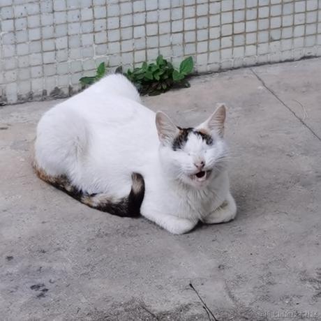 Wei于2022-11-11 23:41发布的图片