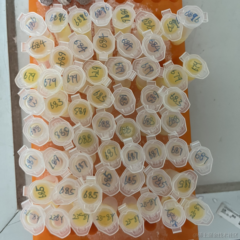 地上的人于2022-11-10 22:10发布的图片