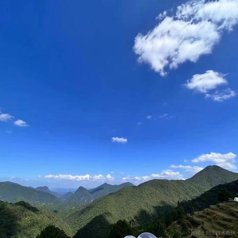 百里落云于2022-10-04 08:02发布的图片