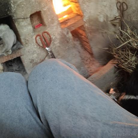 田八于2023-01-21 07:31发布的图片