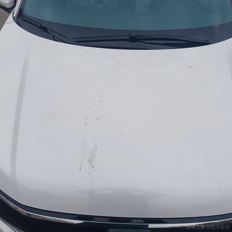 嘉然小姐的狗子于2022-11-11 11:07发布的图片