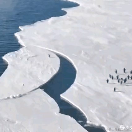 已注销于2022-02-23 08:13发布的图片