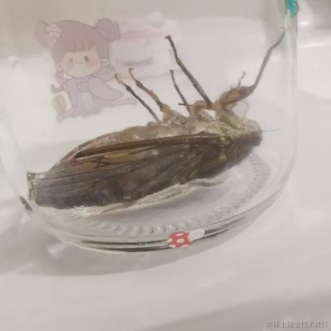 126个倾于2023-06-22 20:59发布的图片