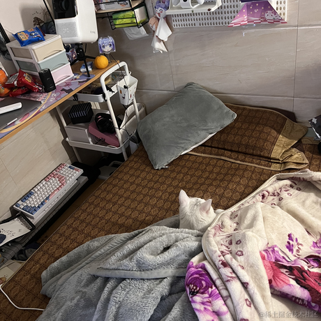 祝六一于2022-12-01 18:03发布的图片