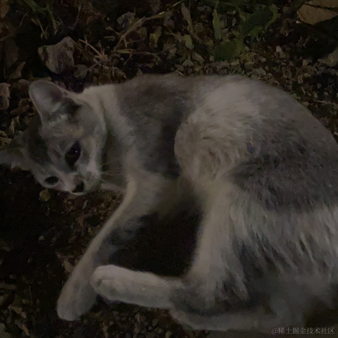 紫色的猪于2022-12-18 23:46发布的图片