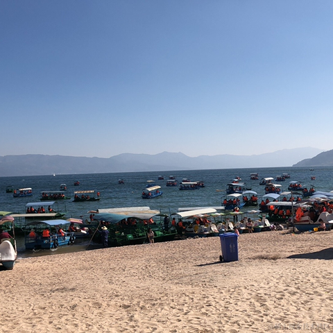 冬日暖阳一片云于2023-03-14 18:06发布的图片