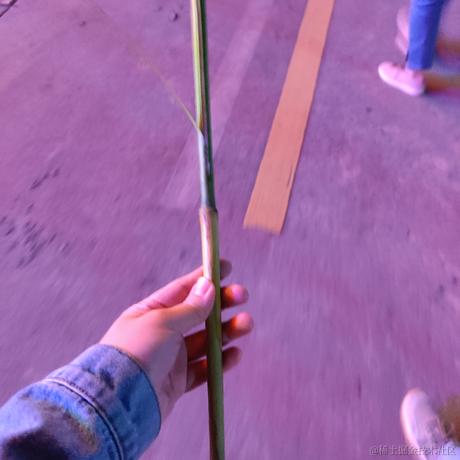 蓬蒿烂人于2022-11-22 09:41发布的图片