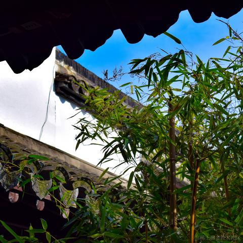 欲买桂花同载酒_于2023-03-27 11:20发布的图片