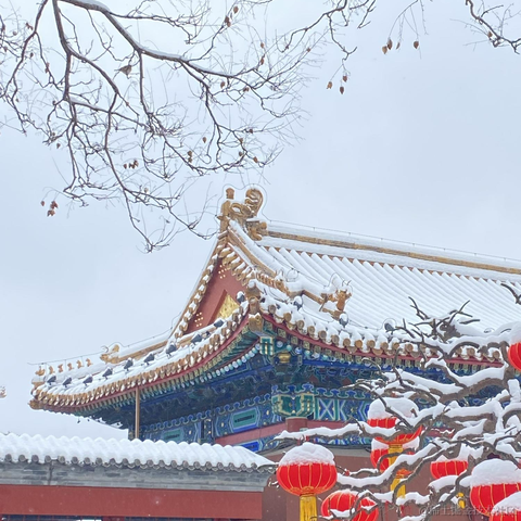 优弧于2022-02-13 19:51发布的图片