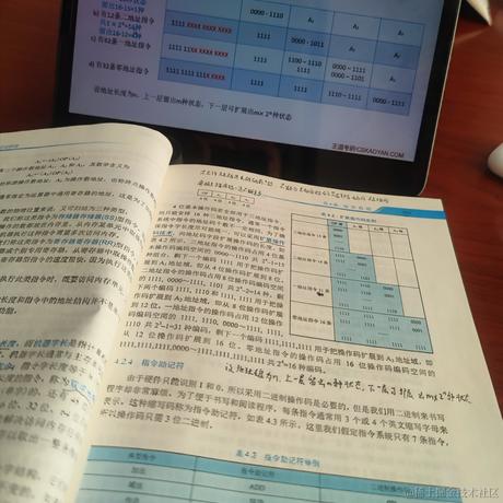 落叶才知秋于2022-10-10 21:31发布的图片