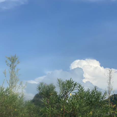 小狗在冬日划桨于2023-08-30 19:58发布的图片