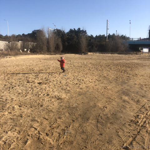 小道大成于2022-03-27 22:01发布的图片