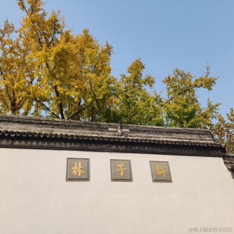 优秀稳妥的金枪小魔王于2023-11-28 11:00发布的图片