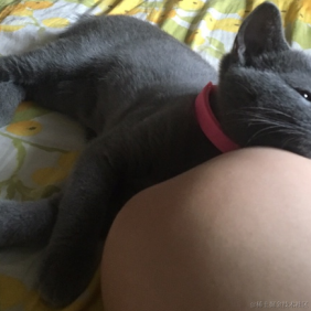 阿斯蒂芬干活于2020-08-25 05:58发布的图片