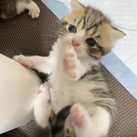 Livingbody于2021-10-31 11:05发布的图片