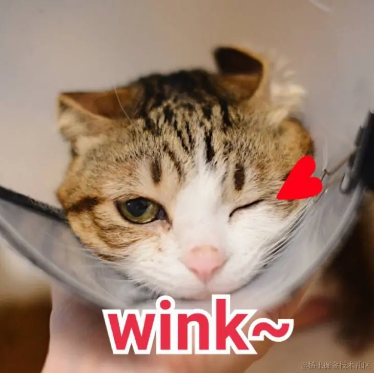 屏幕截图 2023-02-05 170438.jpg