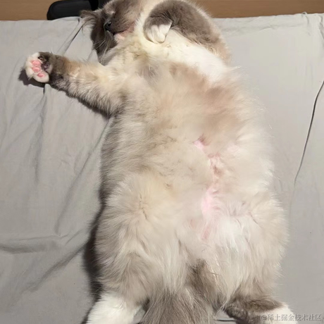 打你的修狗于2023-04-07 17:30发布的图片