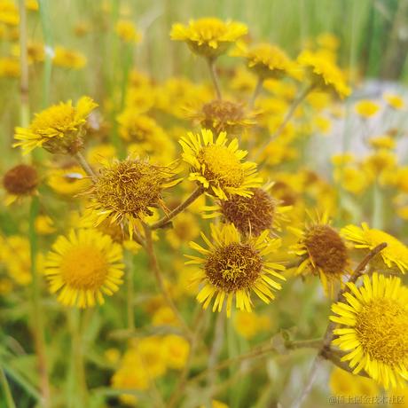 嘉点孜然粉于2023-06-24 07:24发布的图片