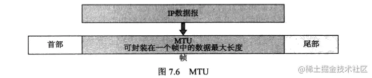 image-20210130134256529.png