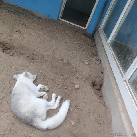 琳琳琳于2022-11-22 20:44发布的图片