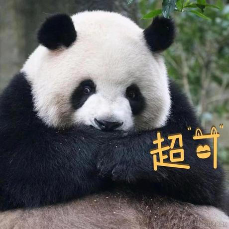 花花_花花于2023-05-23 13:14发布的图片