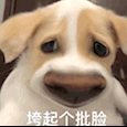 但愿人长久的张小舟于2020-12-22 18:24发布的图片
