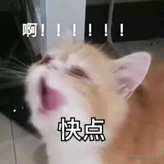 闭关学习一周kafka，原来他这么快是有原因的！