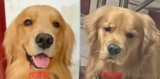 改造后无光.png