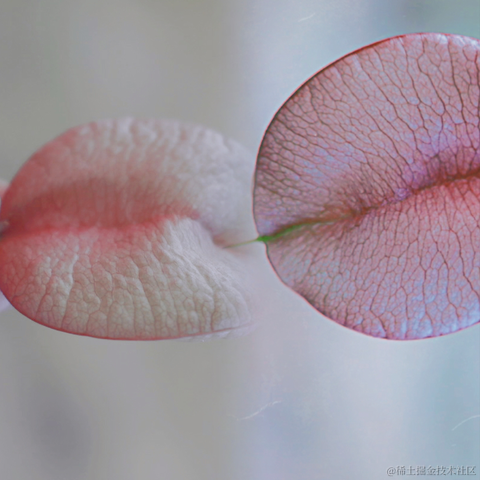 红毛丹于2022-09-18 22:38发布的图片