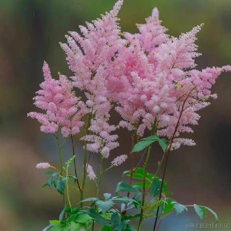 汽水味的小盆友于2022-11-20 19:36发布的图片