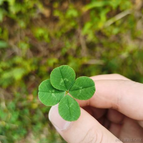 一个一个一个魂儿于2022-12-04 11:35发布的图片