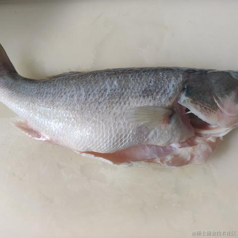 琦玉的杰诺斯于2022-11-09 12:11发布的图片