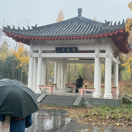 枝江超人贝拉于2022-11-18 16:01发布的图片