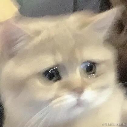 共婵娟于2022-11-26 08:34发布的图片