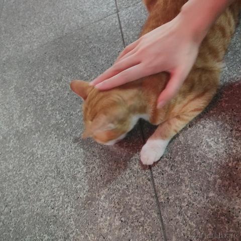 然然世界第一可爱于2022-11-17 12:39发布的图片