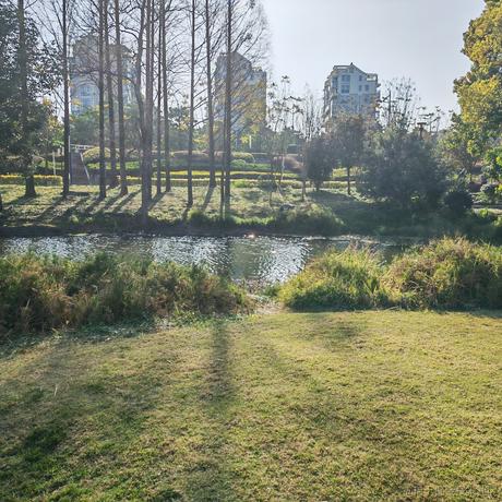 Whitegive_king于2023-04-12 19:46发布的图片