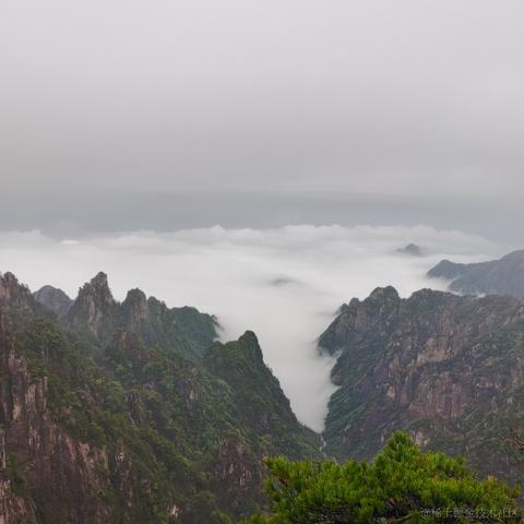 Spirited_Away于2023-04-06 15:38发布的图片