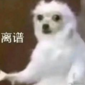 yeykira于2022-11-14 09:12发布的图片