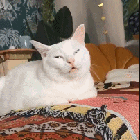 已注销于2021-09-14 16:21发布的图片