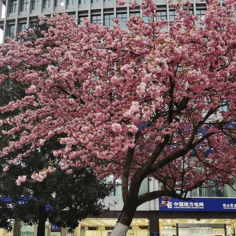 已注销于2022-04-01 08:18发布的图片