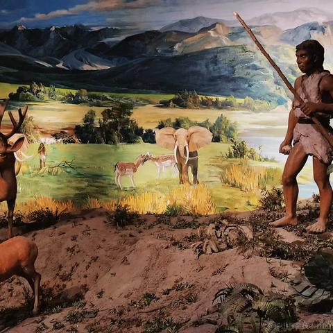 花脸丶于2022-07-03 23:06发布的图片