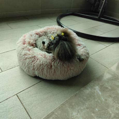 静心晚子于2022-12-02 13:23发布的图片